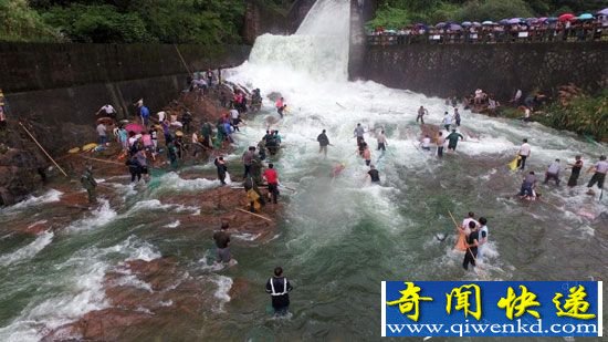 水库泄洪市民入水捞道德鱼 民警苦劝无果