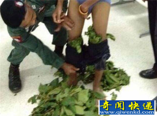 ̩�����ӰѶ�Ʒ������ ����Ц������Ϸ����ʵ���Ǹ���Ա