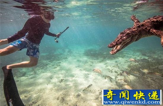 英少年与鳄鱼同游 终于知道外国人少的原因了!