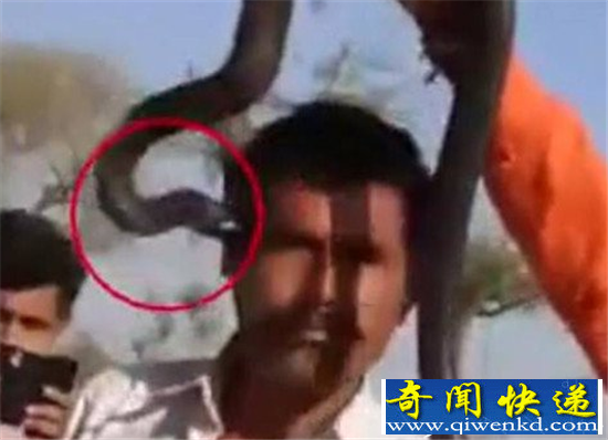 ӡ���������ߺ��ձ�ҧ һ��Сʱ�󶾷�����