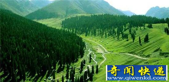 �������½����� ������ôʶ�������ߵļ��