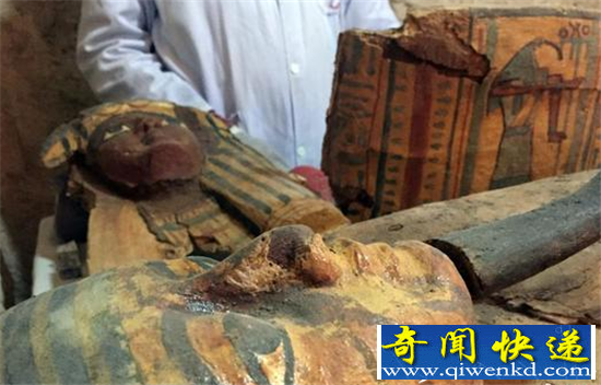 埃及考古重大发现 3500年前木乃伊让考古专家惊喜