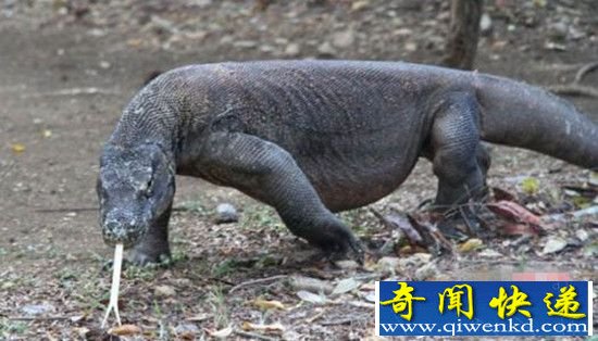 ���׾��־�������Ե�Ӥ�� ���⻳��������Ұ?