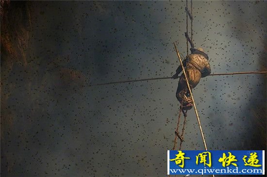 尼泊尔玩命采蜜人 你还有理由抱怨生活