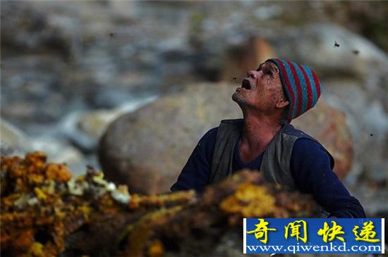 尼泊尔玩命采蜜人 你还有理由抱怨生活