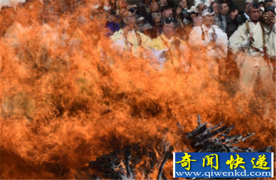 �ձ����жɻ�� ɮ����������ܾ���������