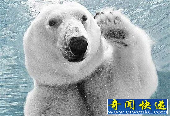 ܳӱɱ ˲̵¹Ϊαʾ