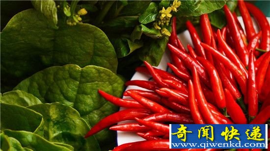 �й�ʮ������������� ���Ѻ���15��ũҩ�ɷ�!