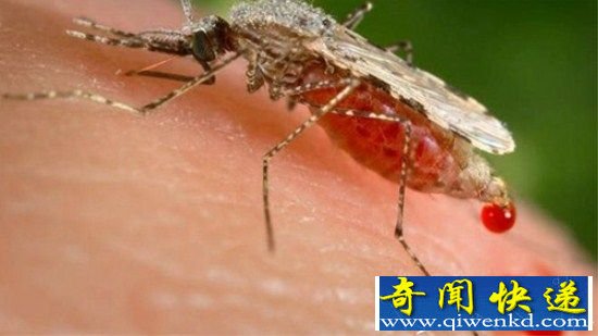 未来亚洲将有20亿人感染寨卡病毒 中国怎么办