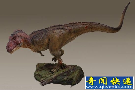 英海滩惊现恐龙化石 竟然是霸王龙!