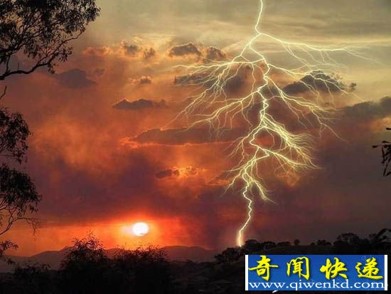 津巴布韦一女子恰巧经过树底 竟惨被雷劈起火