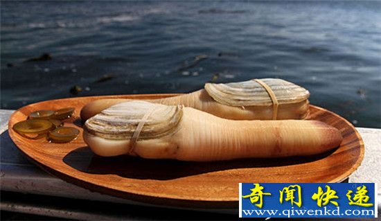 女神最爱天赐之屌 太平洋潜泥蛤堪比振动棒