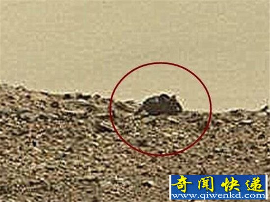 火星发现神秘物体:惊现木乃伊石棺!