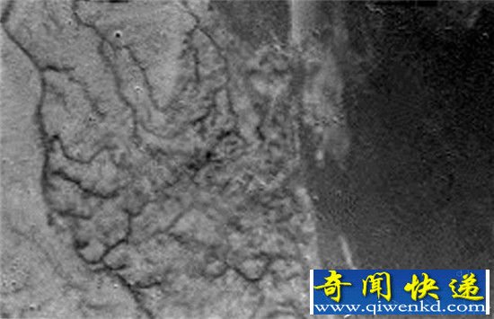 迄今最遥远的登陆:这个小家伙十二年前在另一颗星球上做到了!