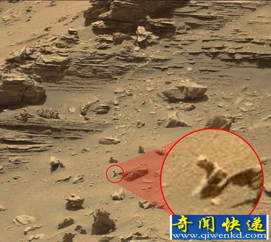火星上发现爬行动物遗骸 有生命存在?