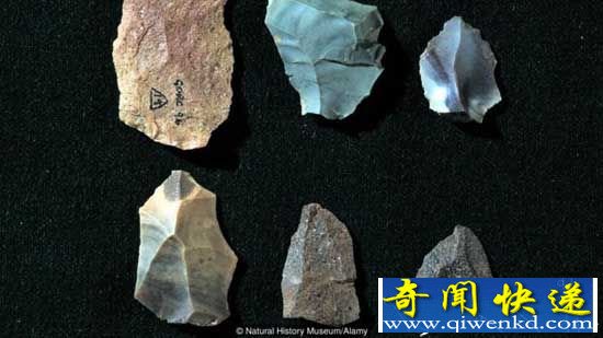 人类演化为站立两足行走 是因为地形而改变?