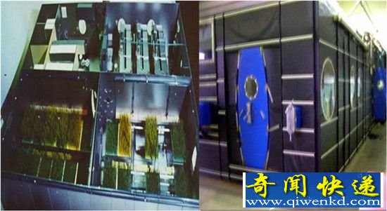 空间站长期居住吃什么 月宫一号选择昆虫