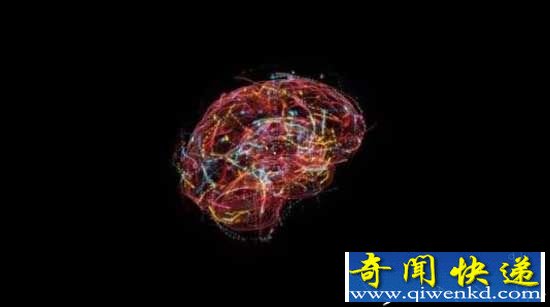 别说你没见过量子纠缠,它可能就发生在我们的大脑里