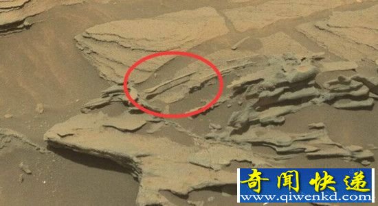 NASA证实 火星上确实有生物的存在
