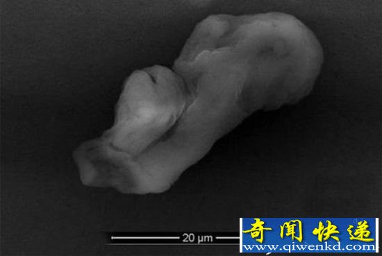 美国51区公布惊天消息:外星人现身形似人类胎儿