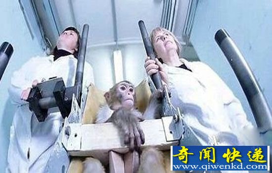 俄罗斯科学家计划把猴子送去火星? 真战斗民族也