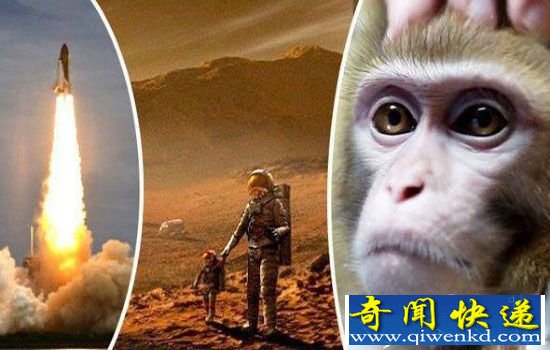 俄罗斯科学家计划把猴子送去火星? 真战斗民族也