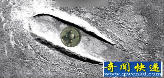 外星人到访火星证据 照片证飞碟降落遗留痕迹