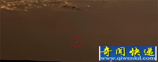 火星神秘兔子状生物揭秘 是外星生物还是炒作?