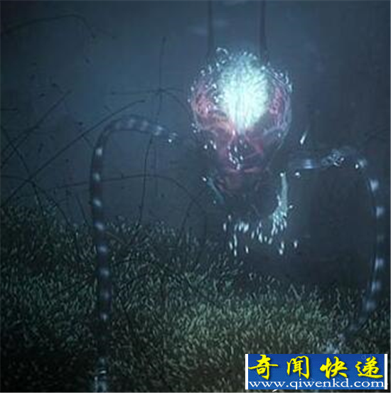 外星生物竟然长这样 绝密外星人档案曝光