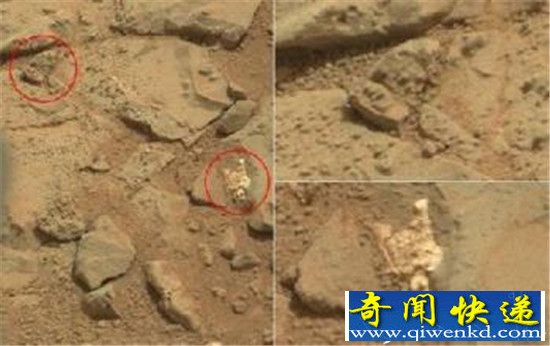 火星发现神秘怪异物种 刚诞生的小外星人?