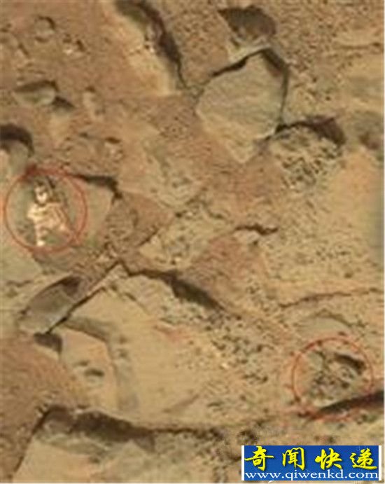 火星发现神秘怪异物种 刚诞生的小外星人?
