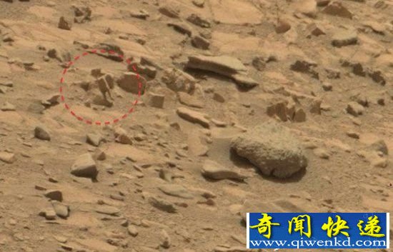 火星惊现背书包的小外星人?简直就是个笑话