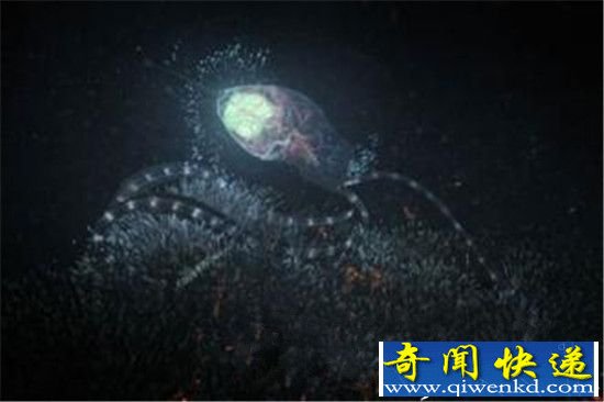 火星上外星生命神秘消失 竟是因为它?