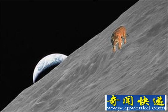 月球上发现嫦娥尸体是真的?科学家是这么说的