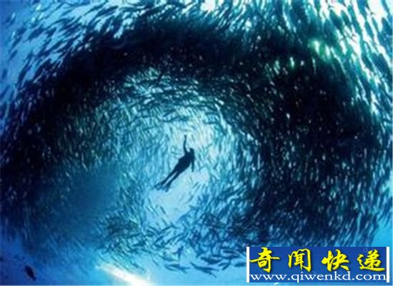 彗星穿越虫洞撞地球 6500万年前恐龙灭绝!