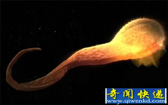 NASA曝光太阳系惊天秘密 黑洞竟要吞噬太阳?