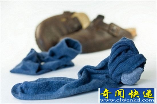 盘点蜘蛛的十大怪异行为:真是动物界的奇葩!