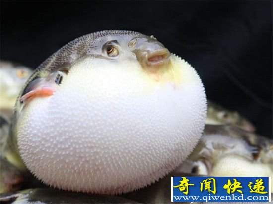 ȫ15綾 һ벻