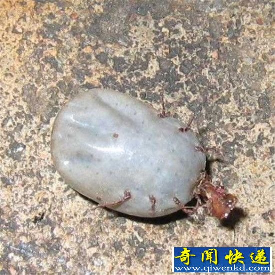 ȫ15綾 һ벻