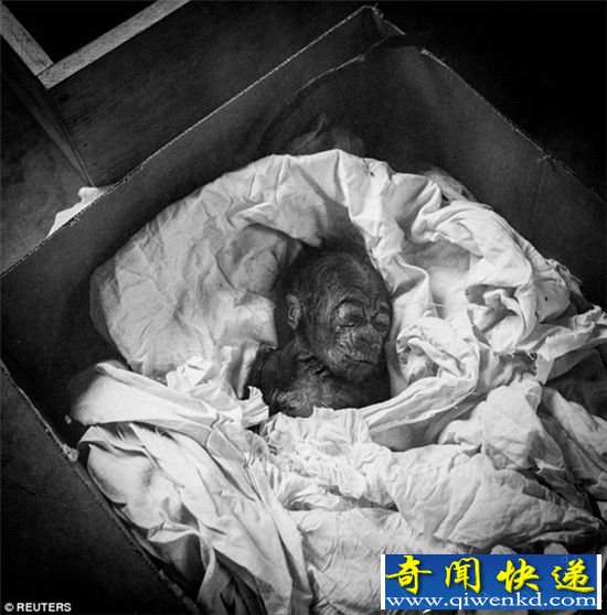 世界上最年长圈养大猩猩去世 比预计多活20年!