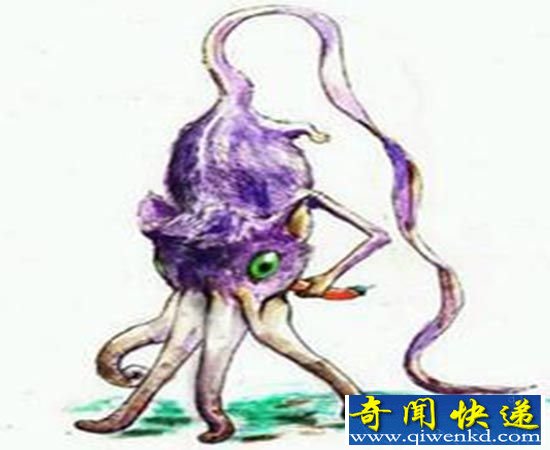 揭秘世界上奇怪动物:南太平洋鼻行动物