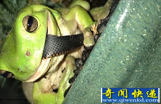 ɾ綾 ·Ӷ