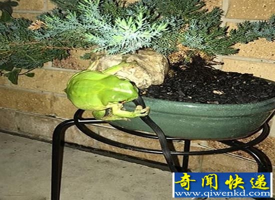 ɾ綾 ·Ӷ