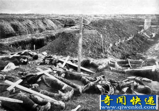 一战中那些获得勋章的动物 他们拯救了无数人