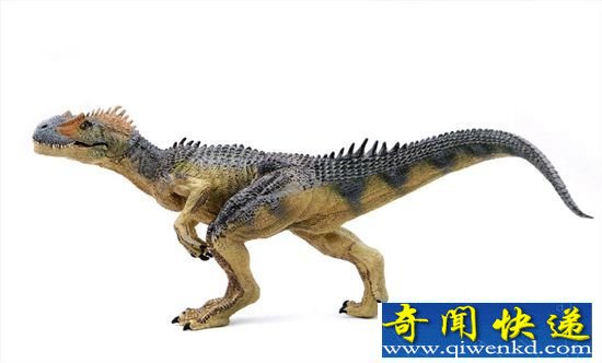恐龙小鸡的培育 恐龙能否重现?