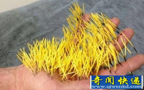 不明生物一掌拍下 手掌莫名遭殃