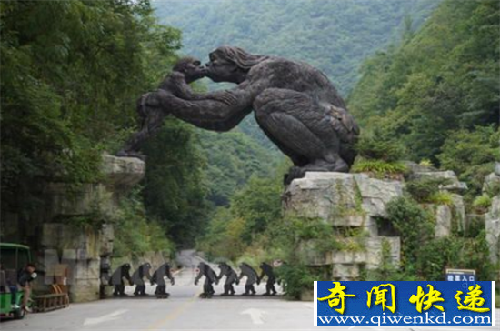 动物界真有野人存在? 揭秘神农架野人之谜