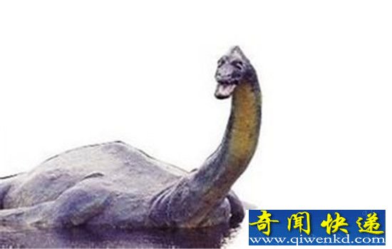 世界上最大的蛇500米 竟是尼斯湖水怪?