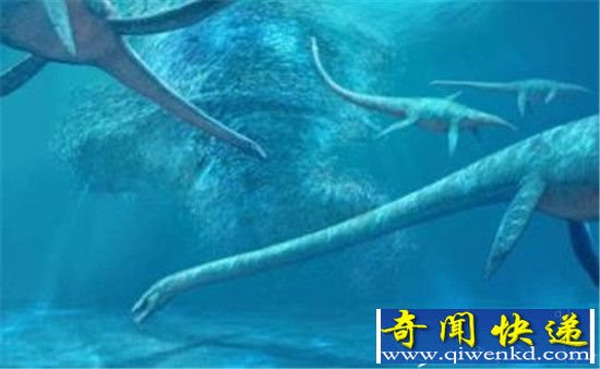 世界上最大的蛇500米 竟是尼斯湖水怪?