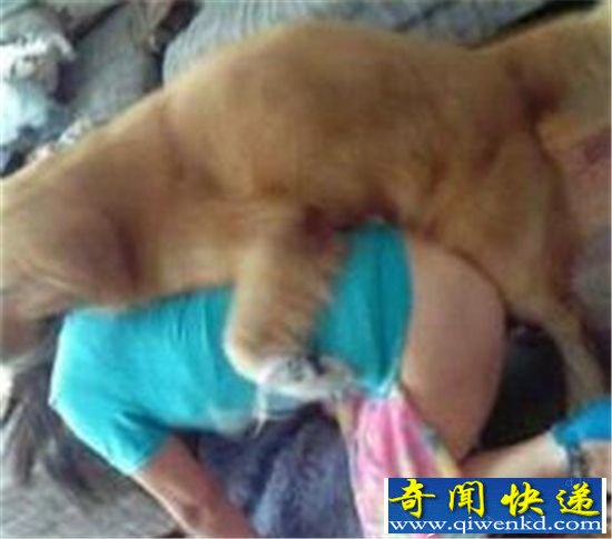 动物世界最奇葩动物交配性行为 人与动物人兽交